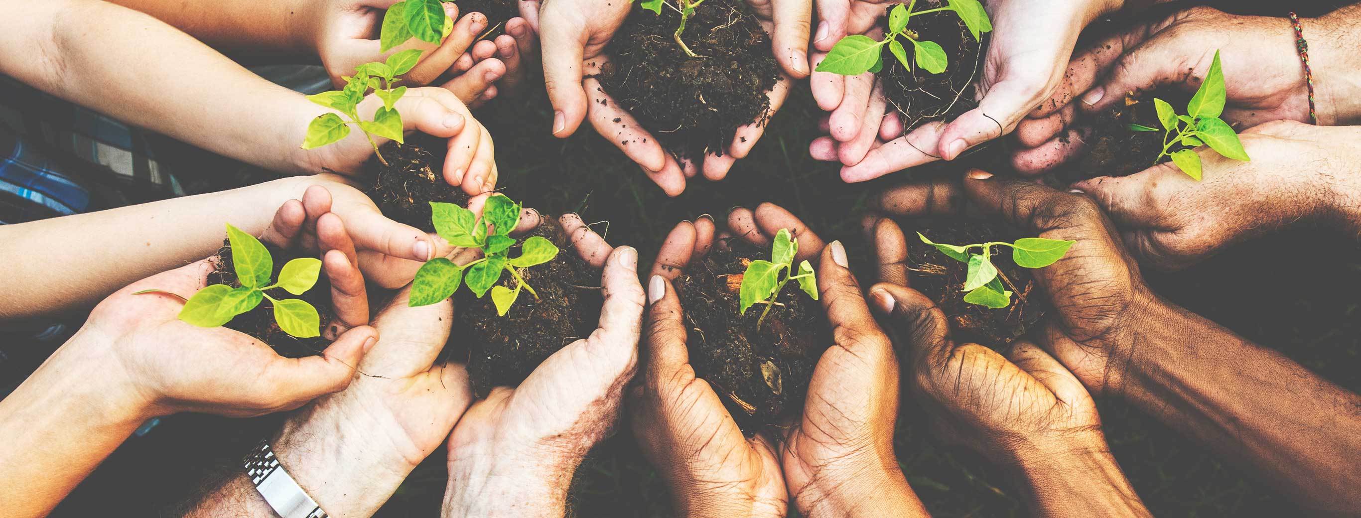 Banner Medio Ambiente