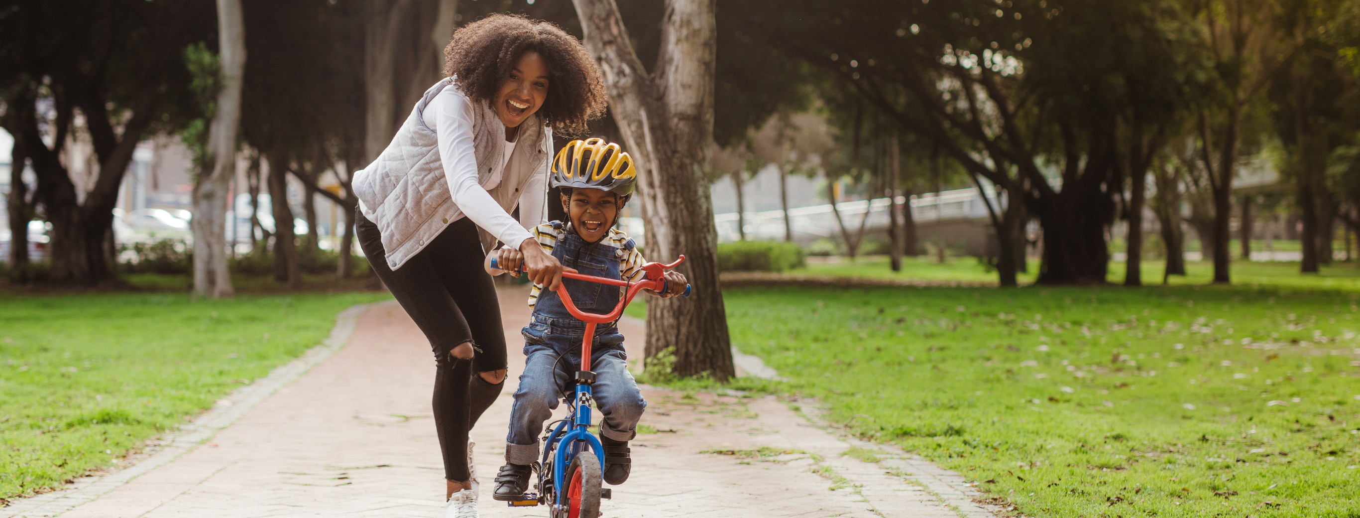 Banner Banca Seguros