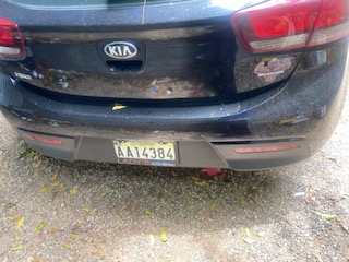 Imagen bienes Kia Rio