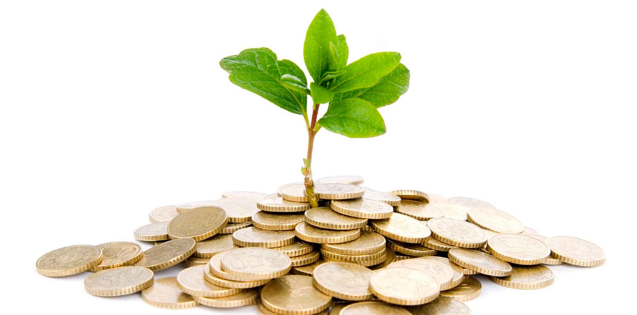 Imagen Tengo algunas ideas de negocio, ¿Cómo preparar un plan de inversión?